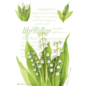 Fresh Scents Sachet Αρωματικό Φακελάκι Lily Of The Valley 115 Ml