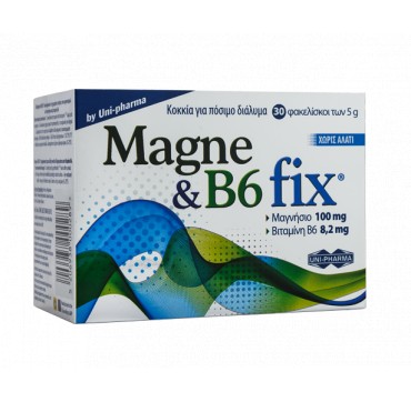 UNI-PHARMA MAGNE & B6 FIX 30ΦΑΚ