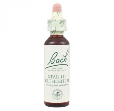 POWER HEALTH BACH STAR OF BETHLEHEM 20ml POWER HEALTH BACH STAR OF BETHLEHEM 20ML