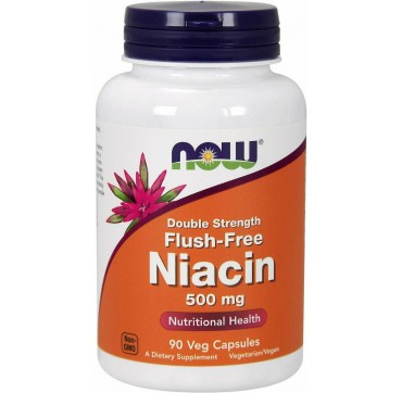 Now Flush Free Niacin 500mg, 90caps