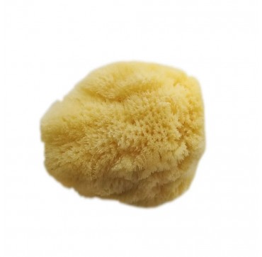 Joy Sea Sponge H-H 4-41/2 Medim (Φυσικό Σφουγγάρι Θαλάσσης Μεσαίο Μέγεθος)