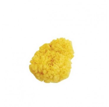 Beauty Spring Natural Sponge Large Φυσικό Σφουγγάρι Μεγάλο, 1 τμχ