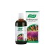A.vogel Boldocynara 50ml