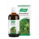 A.vogel Avenaforce 100ml