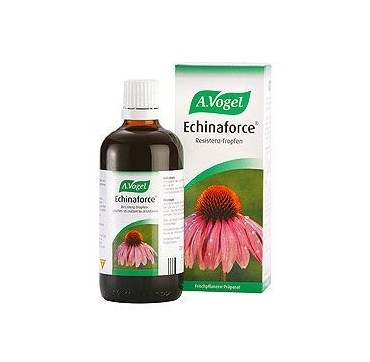 Vogel Echinaforce 50ml