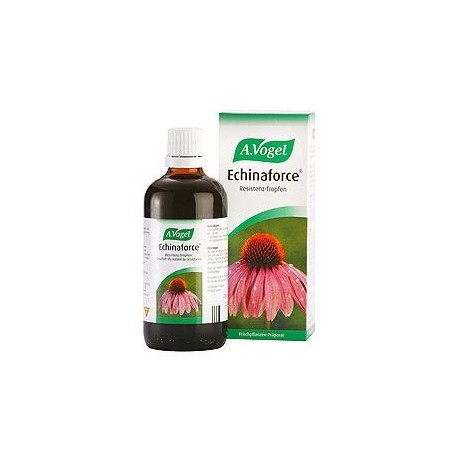 Vogel Echinaforce 50ml