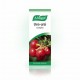A.vogel Uva Ursi Complex 50ml