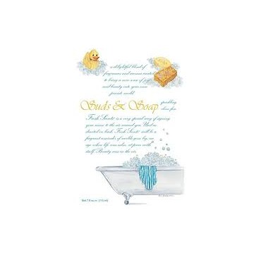 GREENLEAF Αρωματικό Φακελάκι Suds & Soap 115ml GREENLEAF Αρωματικό Φακελάκι Suds & Soap 115ml