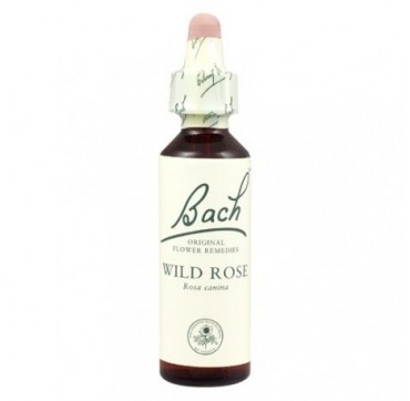 Power Health Bach Wild Rose 20ml
