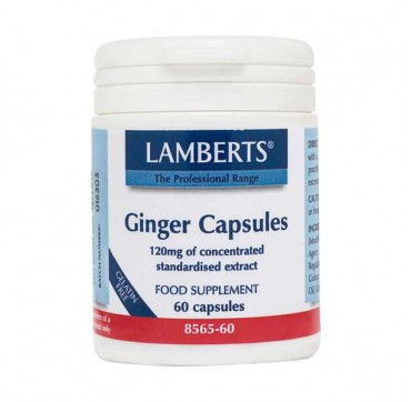 LAMBERTS GINGER 120MG 60caps LAMBERTS GINGER 120MG 60caps